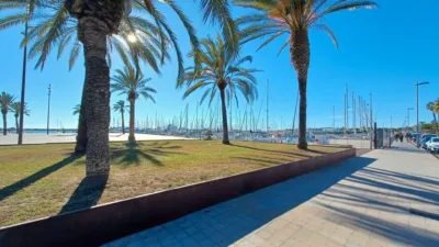 Apartment on Carrer de Pere Riudor photo 5