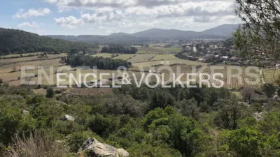 House in Begues photo 45