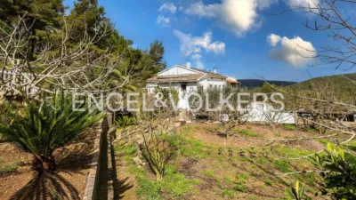 House in Begues photo 4