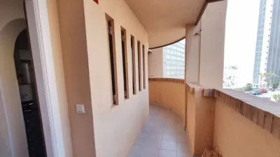 Apartment in Racó de l'Oix photo 3