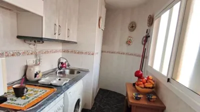 Apartment in Racó de l'Oix photo 5
