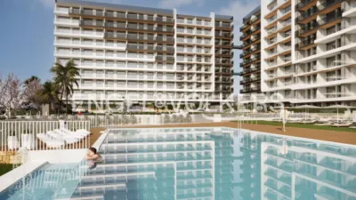 Pis – Torrevieja - Vista 2