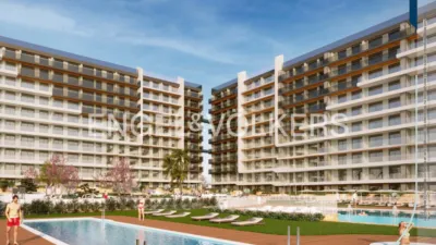 Pis – Torrevieja - Vista 3