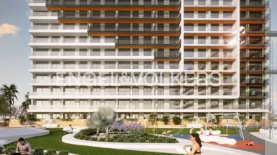Pis – Torrevieja - Vista 5