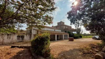 Pis – Ondara, Pamis - Vista 4