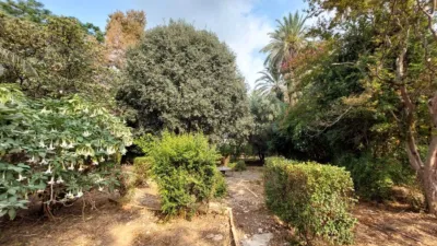Rustic house in Ondara photo 34