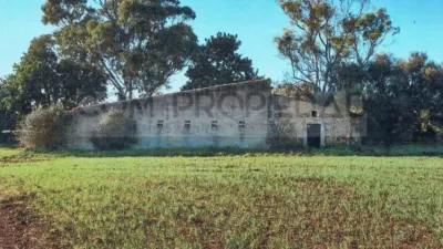 Rustic house in Las Canteras photo 2