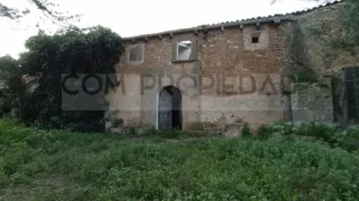 Rustic house in Las Canteras photo 4