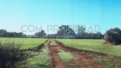 Rustic house in Las Canteras photo 8