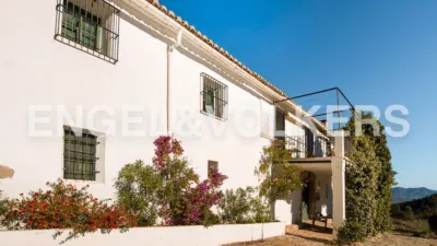 Rustic house on Calle Nueva photo 47