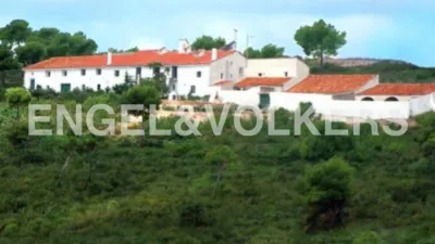 Rustic house on Calle Nueva photo 50