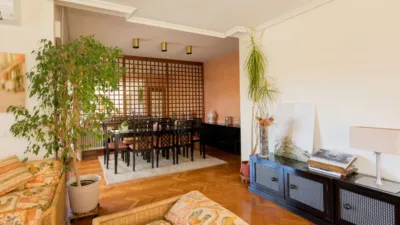 House in Monte del Pilar Area photo 13