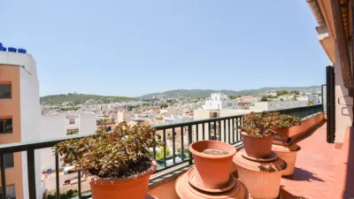 Piso en Son Espanyolet photo 13