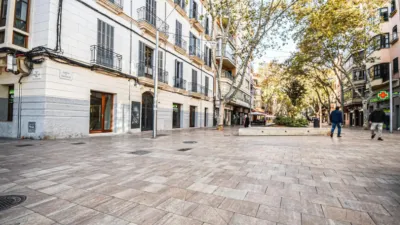 Apartment in Plaça de Francesc García i Orell photo 61