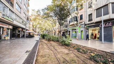 Apartment in Plaça de Francesc García i Orell photo 62