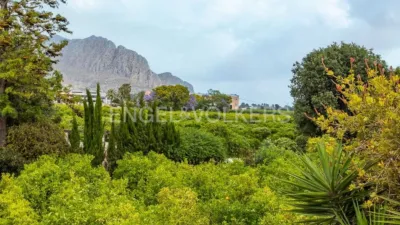 House in Ondara photo 40