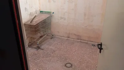 Piso – Elx - Elche - Más