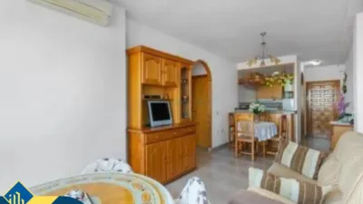 Pis – Torrevieja - Vista 5