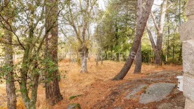 House in Alpedrete photo 45