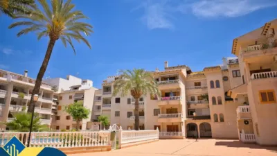 Pis – Torrevieja - Vista 2