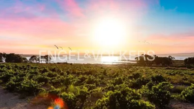 Casa – Torrevieja - Vista 4