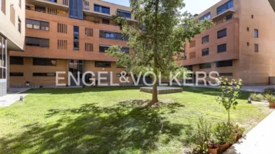 Duplex in Sant Just Desvern photo 3