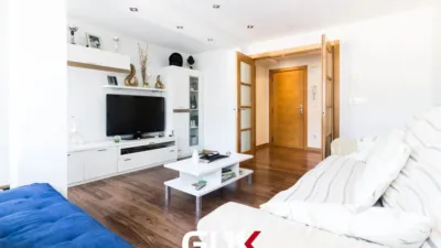 Apartment in Arriberri Auzunea photo 3