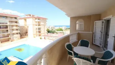 Pis – Torrevieja - Vista 2