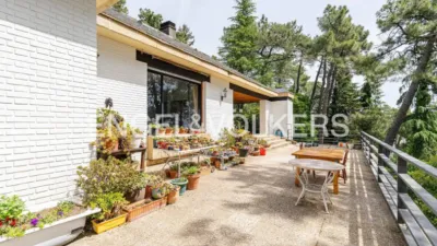 House in Abantos-Monte Carmelo-El Rosario photo 44