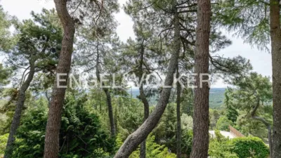 House in Abantos-Monte Carmelo-El Rosario photo 47