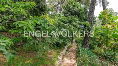 House in Abantos-Monte Carmelo-El Rosario photo 55