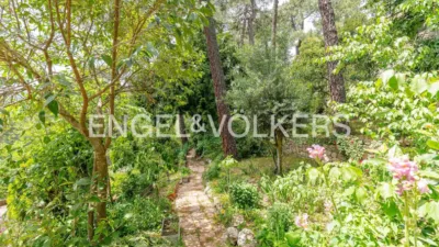 House in Abantos-Monte Carmelo-El Rosario photo 56