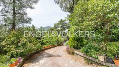 House in Abantos-Monte Carmelo-El Rosario photo 60