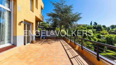 Villa in Fontpineda photo 41