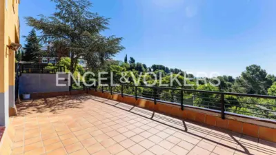 Villa in Fontpineda photo 42