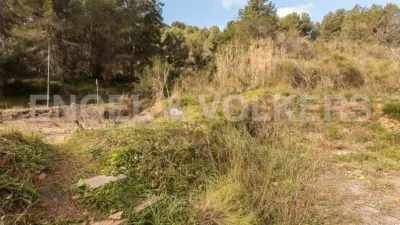 Rustic house in Sant Climent de Llobregat photo 7