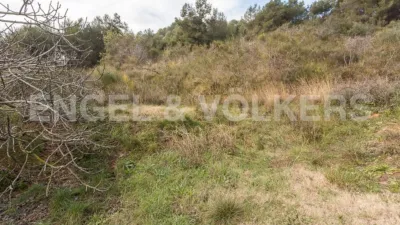 Rustic house in Sant Climent de Llobregat photo 9