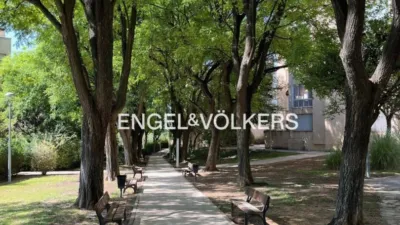 Ático en alquiler en Ciudad Expo, Ciudad Expo (Mairena del Aljarafe) de 2.500 €<span>/mes</span>