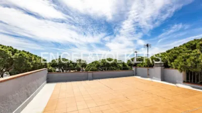 Apartment in La Pineda photo 42