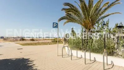 Apartment in La Pineda photo 54