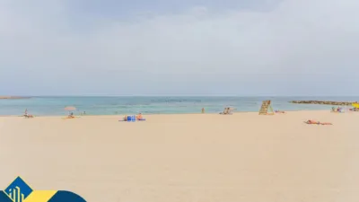 Apartment in Playa del Cura photo 17