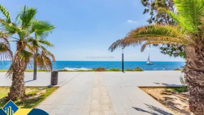 Apartment in Playa del Cura photo 28