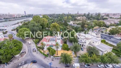 Apartment in La Palmera-Reina Mercedes photo 4