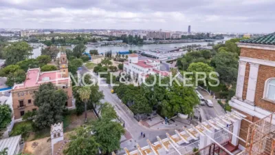 Apartment in La Palmera-Reina Mercedes photo 5