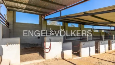 Rustic house in Cazalla de La Sierra photo 46