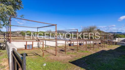 Rustic house in Cazalla de La Sierra photo 50