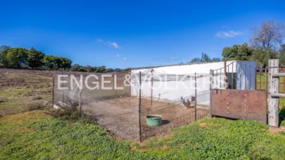 Rustic house in Cazalla de La Sierra photo 58