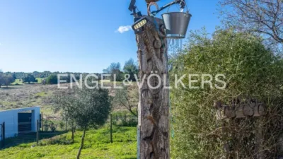 Rustic house in Cazalla de La Sierra photo 69
