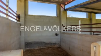 Rustic house in Cazalla de La Sierra photo 91