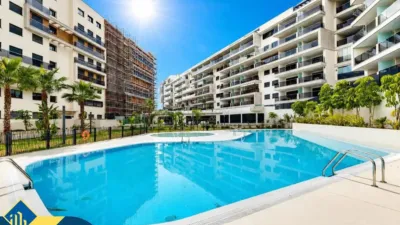 Pis – Orihuela, Dehesa de Campoamor - Vista 5